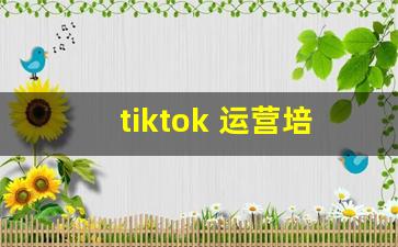 tiktok 运营培训_tiktok培训